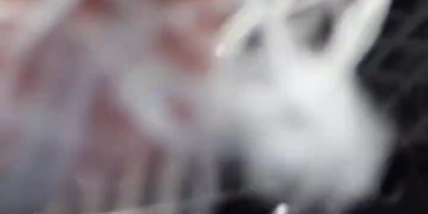 开云娱乐-许利民：赵睿的恢复超出预期 周琦的眼伤情况现在也不太好说