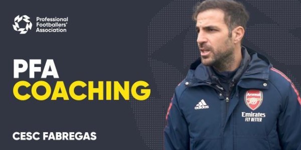 KAIYUN下载app-法布雷加斯挂靴从教，潇洒人生赢家还将妙笔生花？